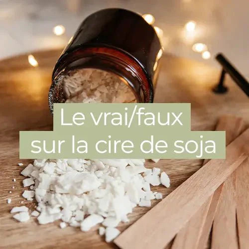 dangers réels ou idées reçues ? Découvrez le vrai/faux sur la cire de soja.