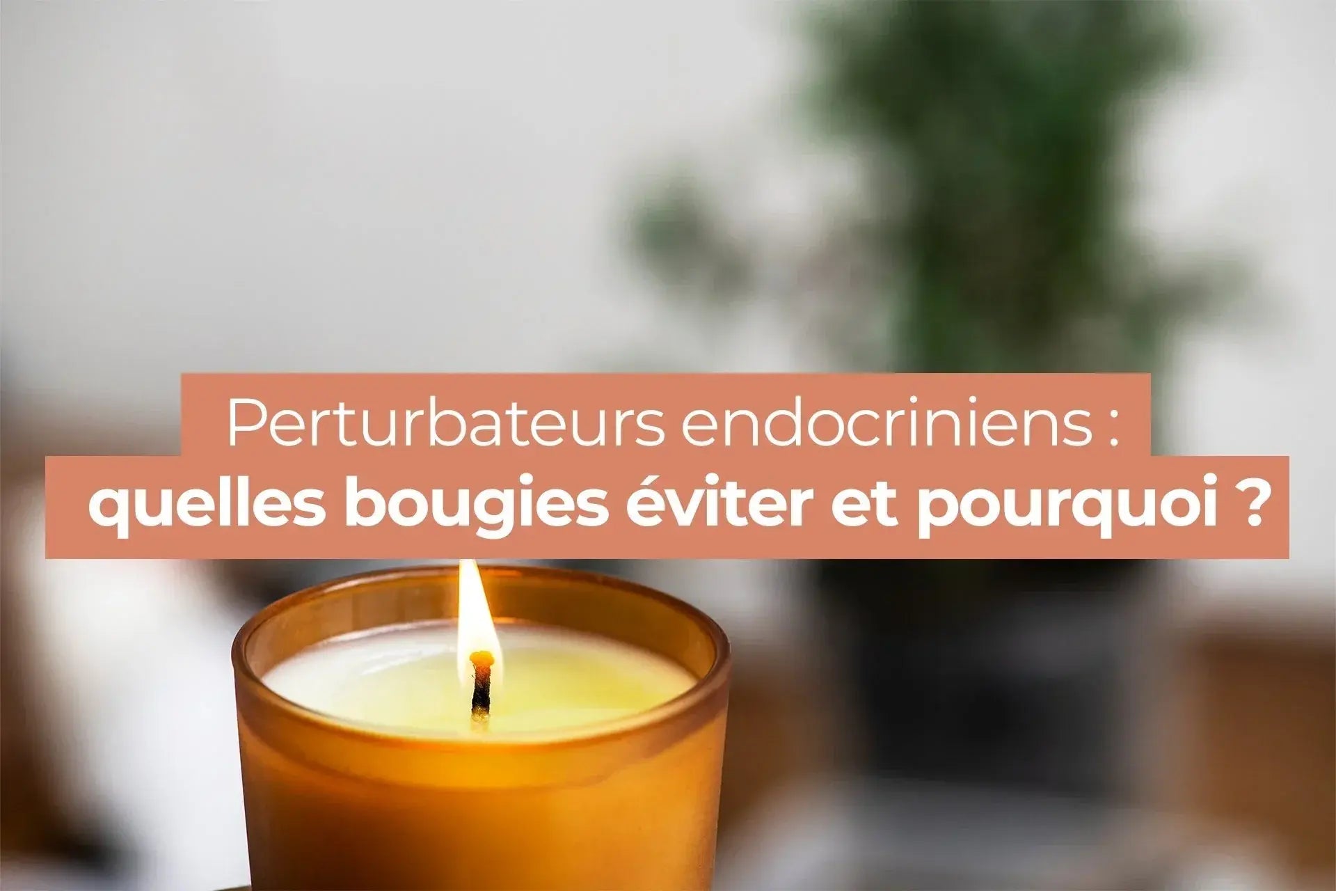 Perturbateurs endocriniens dans les bougies : risques et importance de choisir des bougies naturelles et sûres.